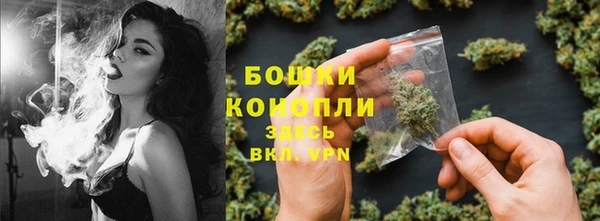 прущие крисы Армянск